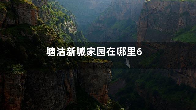 塘沽新城家园在哪里6