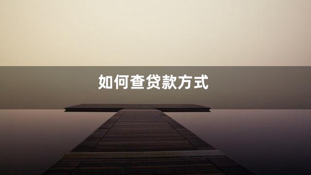 如何查贷款方式