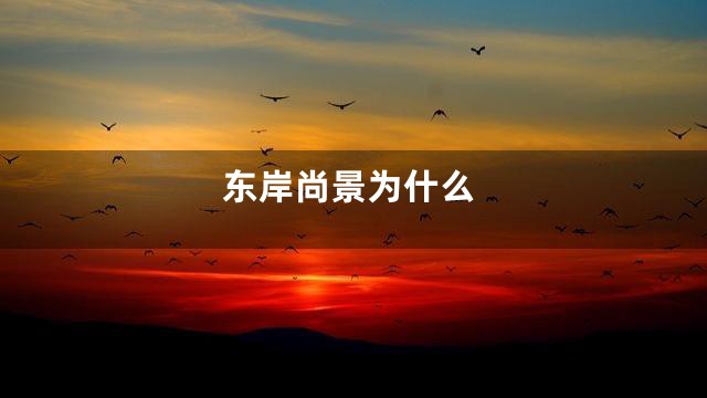 东岸尚景为什么