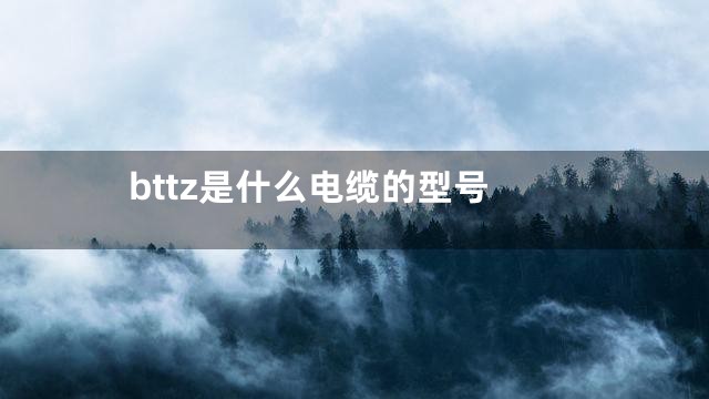 bttz是什么电缆的型号