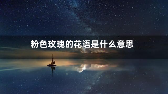 粉色玫瑰的花语是什么意思