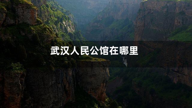 武汉人民公馆在哪里