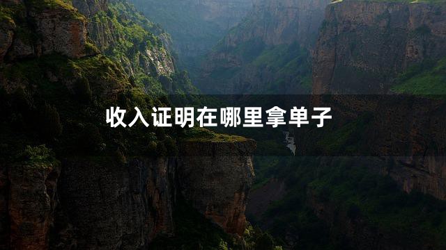 收入证明在哪里拿单子