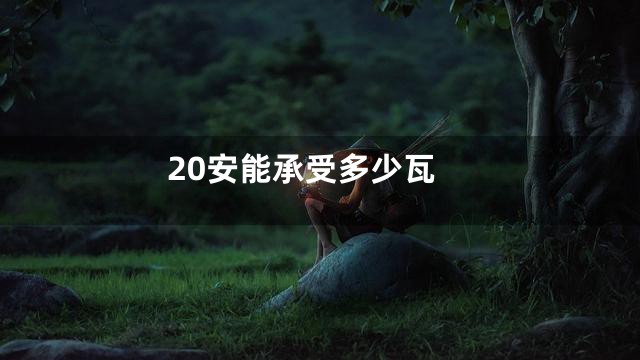 20安能承受多少瓦