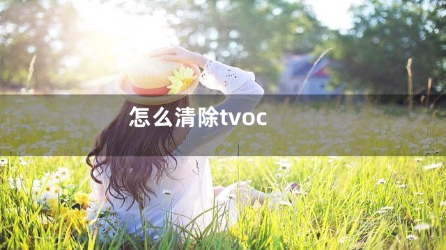 怎么清除tvoc