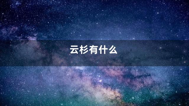 云杉有什么