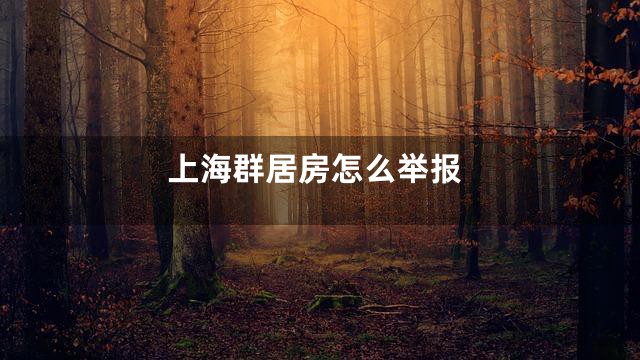 上海群居房怎么举报
