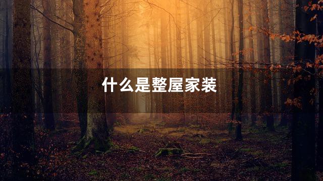 什么是整屋家装