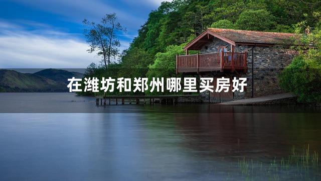 在潍坊和郑州哪里买房好