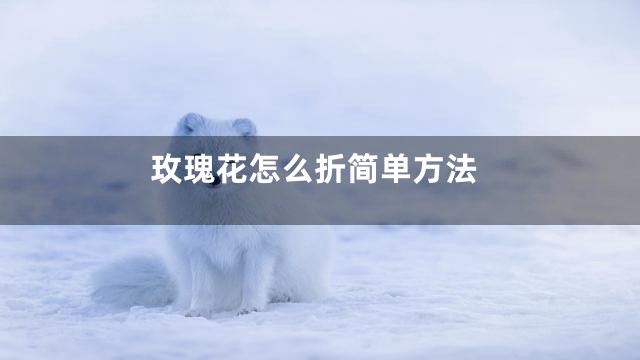 玫瑰花怎么折简单方法