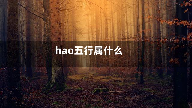 hao五行属什么