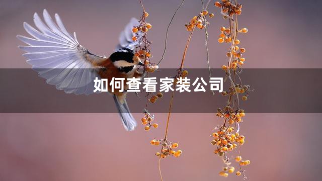 如何查看家装公司
