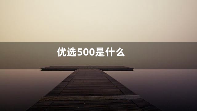 优选500是什么