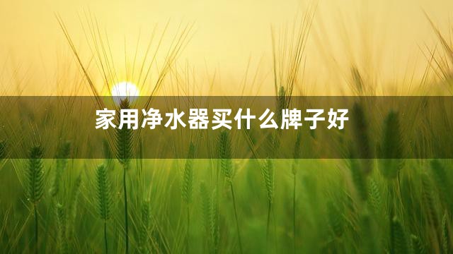 家用净水器买什么牌子好