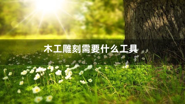 木工雕刻需要什么工具