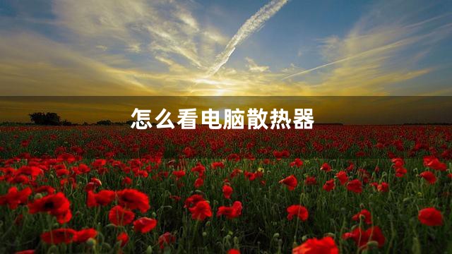 怎么看电脑散热器