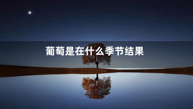 葡萄是在什么季节结果