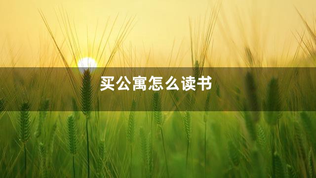 买公寓怎么读书