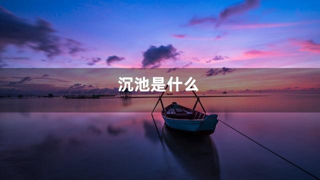 沉池是什么