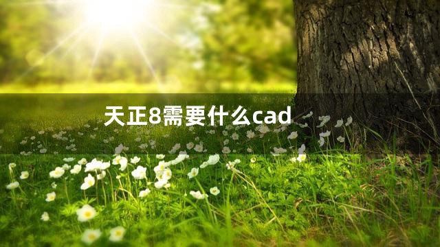 天正8需要什么cad