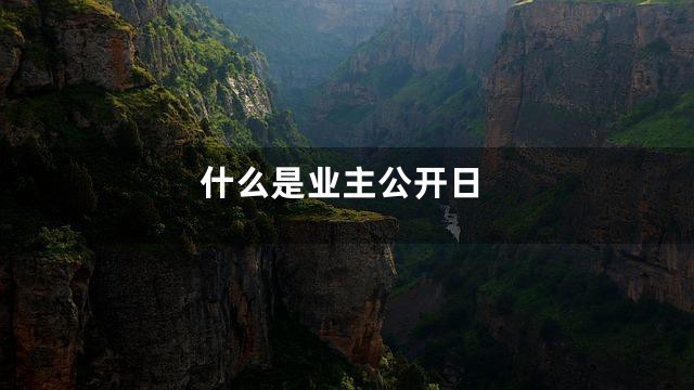 什么是业主公开日