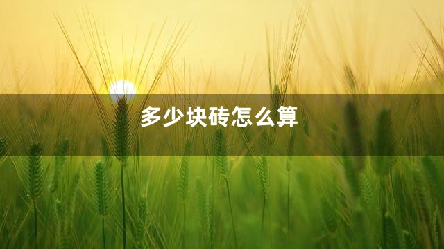 多少块砖怎么算
