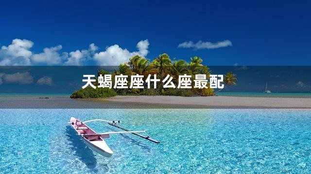 天蝎座座什么座最配