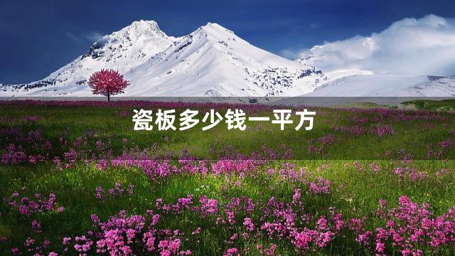 瓷板多少钱一平方