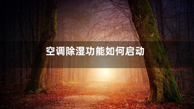 空调除湿功能如何启动
