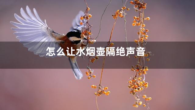 怎么让水烟壶隔绝声音