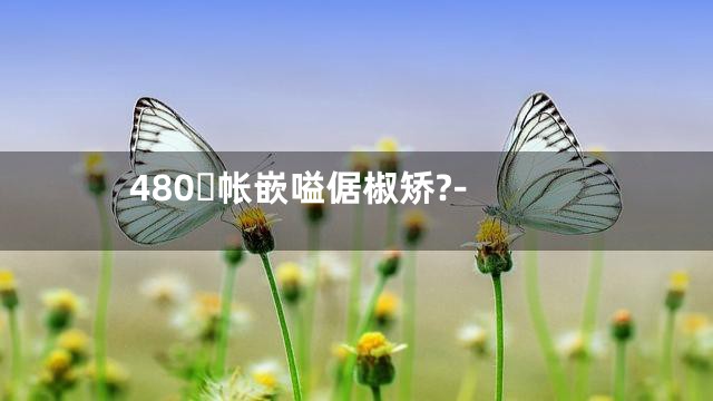480帐嵌嗌倨椒矫?-