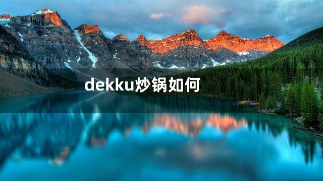 dekku炒锅如何