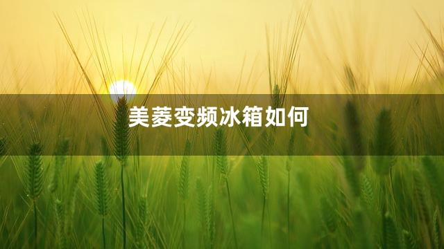 美菱变频冰箱如何