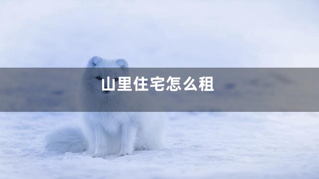 山里住宅怎么租