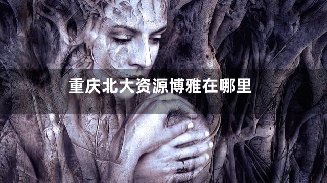 重庆北大资源博雅在哪里
