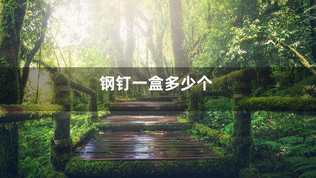 钢钉一盒多少个
