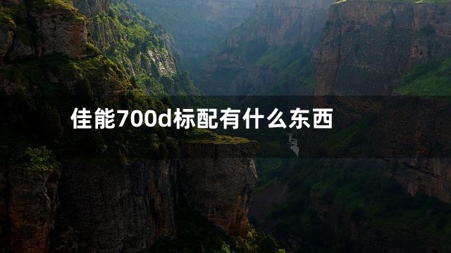 佳能700d标配有什么东西