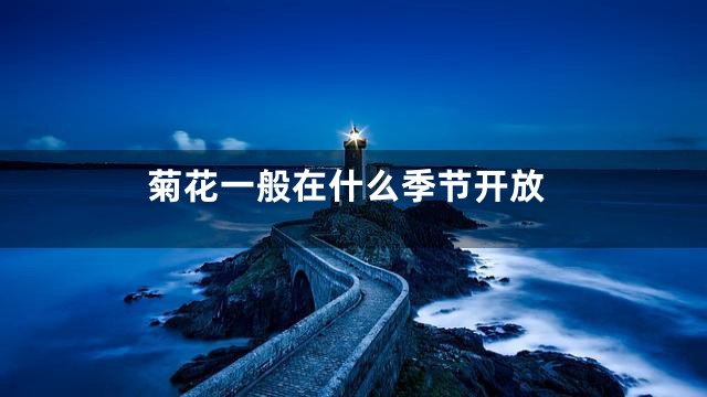 菊花一般在什么季节开放