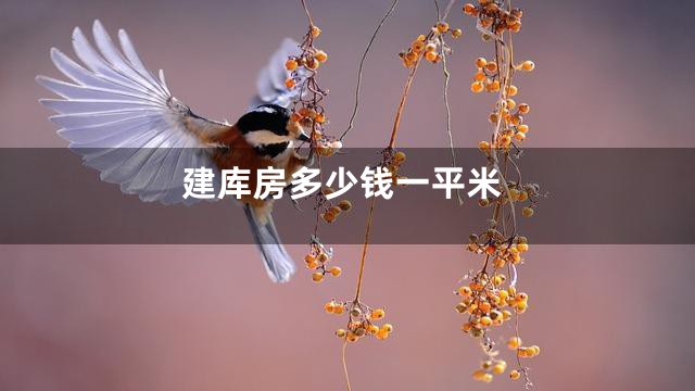 建库房多少钱一平米