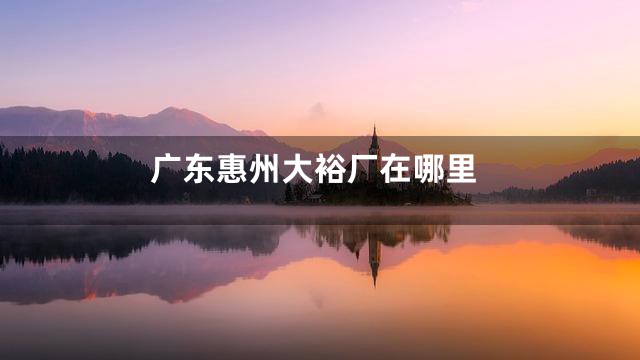 广东惠州大裕厂在哪里