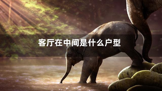 客厅在中间是什么户型