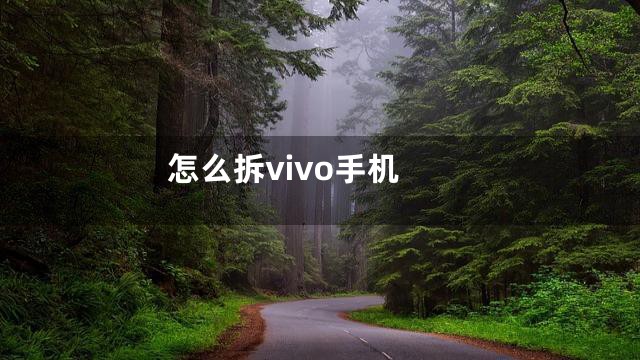 怎么拆vivo手机