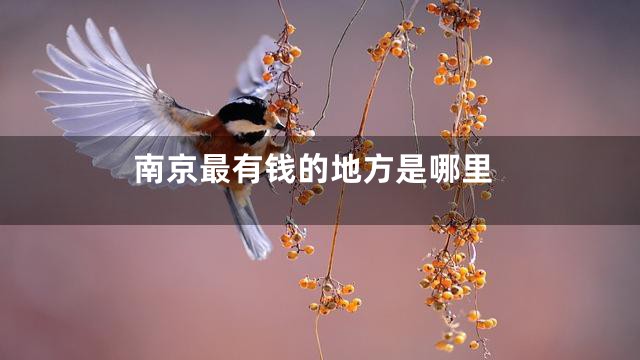 南京最有钱的地方是哪里