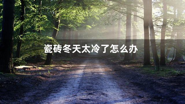 瓷砖冬天太冷了怎么办