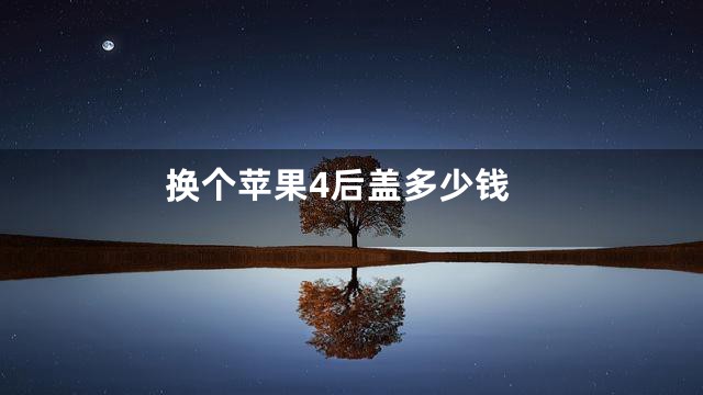 换个苹果4后盖多少钱