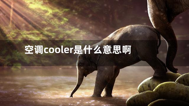 空调cooler是什么意思啊