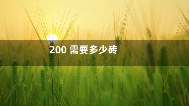200 需要多少砖