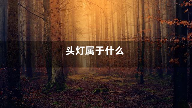 头灯属于什么