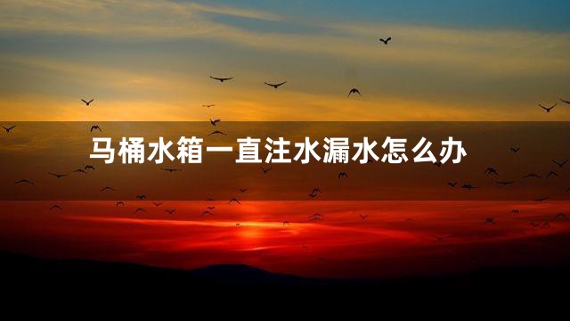 马桶水箱一直注水漏水怎么办