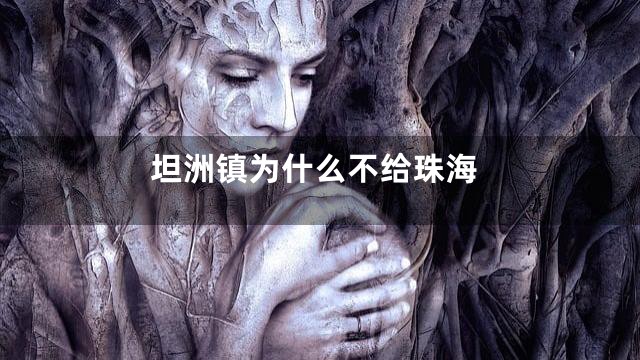 坦洲镇为什么不给珠海